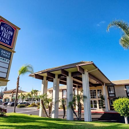 קומפטון Willow Tree Inn Los Angeles- Near Stub Hub Center מראה חיצוני תמונה
